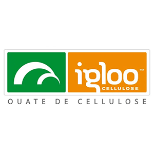 Logo Igloo