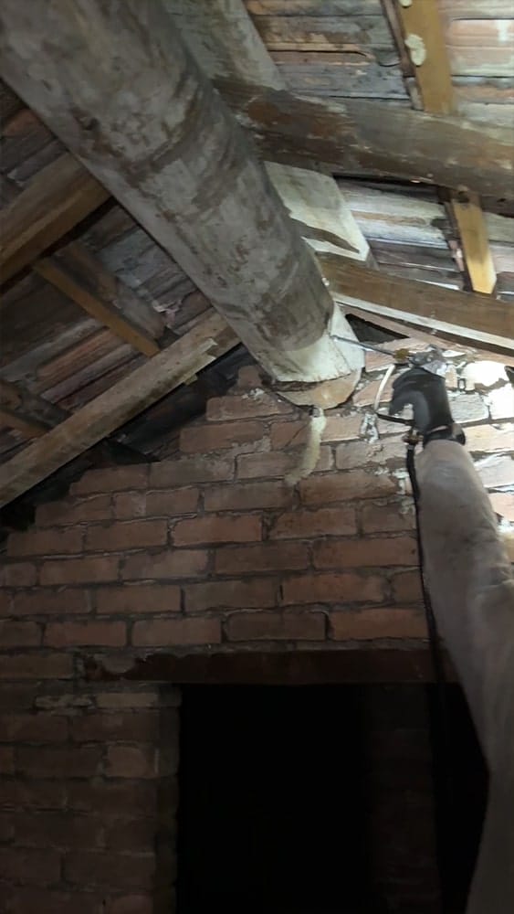 Découvrez notre prestation pour le traitement de xylophage sur le bois de maison