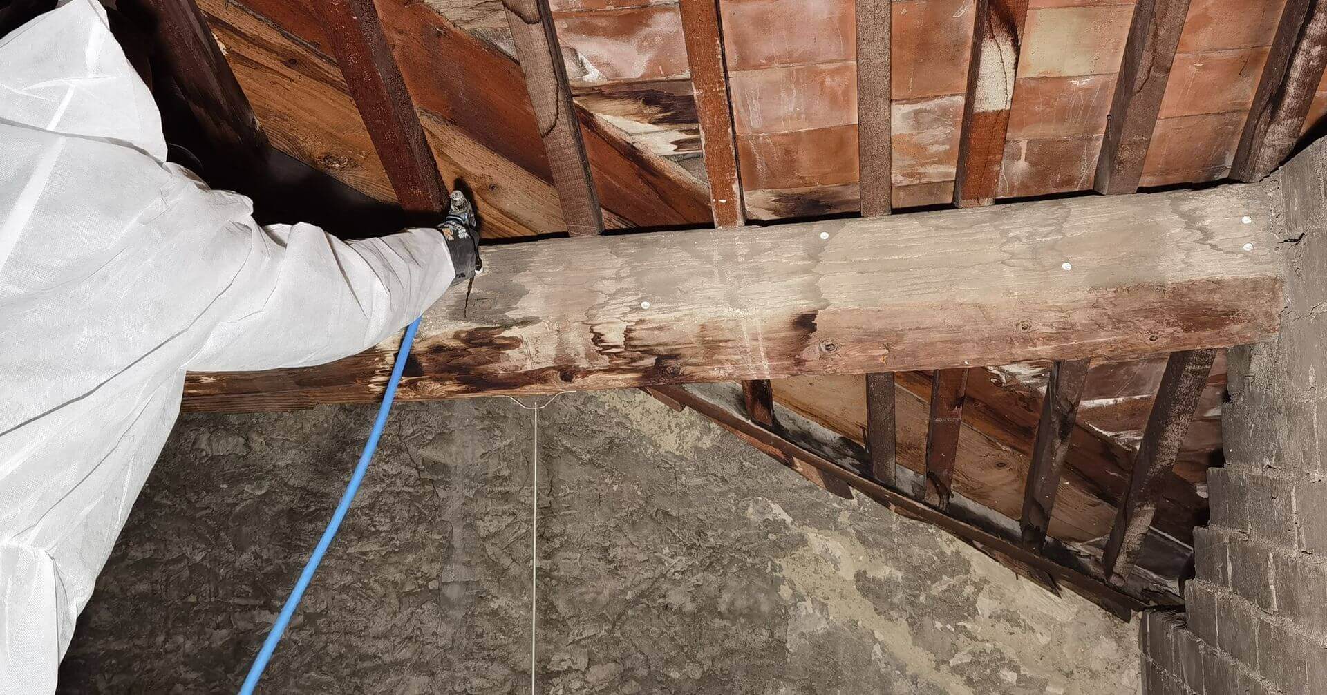 traitement de charpente par injection