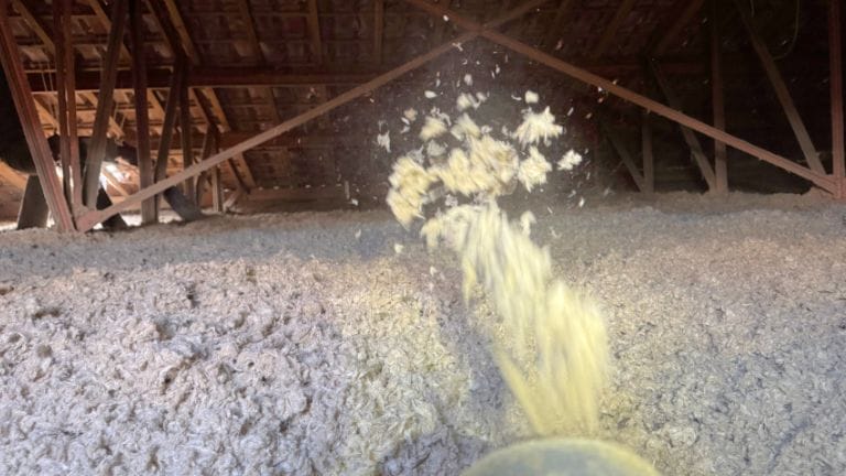 Laine dispersée dans des combles
